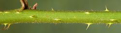 Bild2